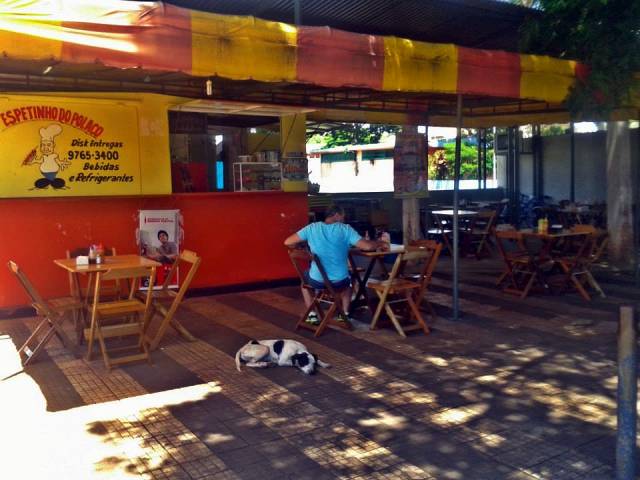 1781953_256372721198458_1584120140_n