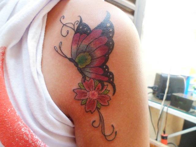 11893886_147703655568304_6200407360652339613_o