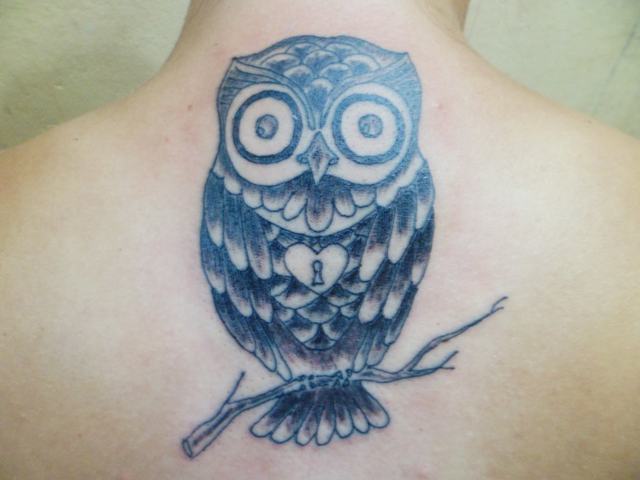 11953377_171652266506776_3600421269531610324_o