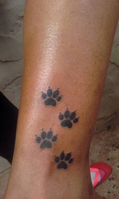 12191967_216667872005215_8849929266899980856_n