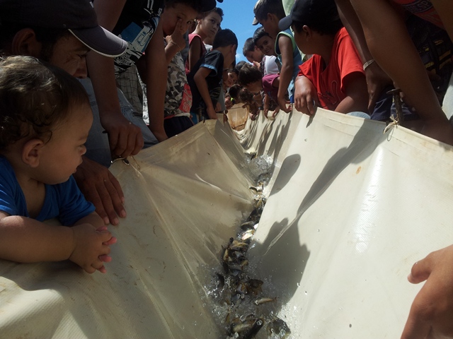 Soltura de peixes (1)