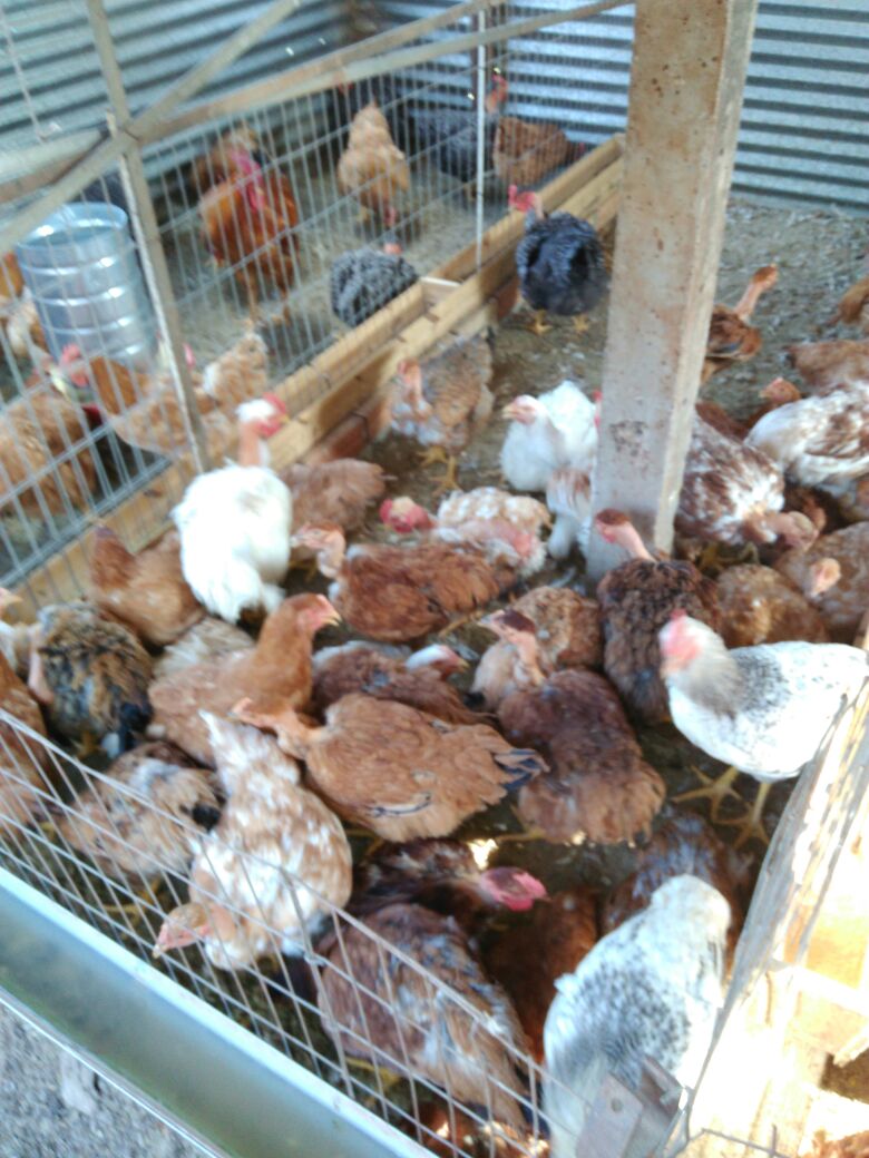 1d4519b6-814e-48ed-9fd5-2a471e3d8fa3