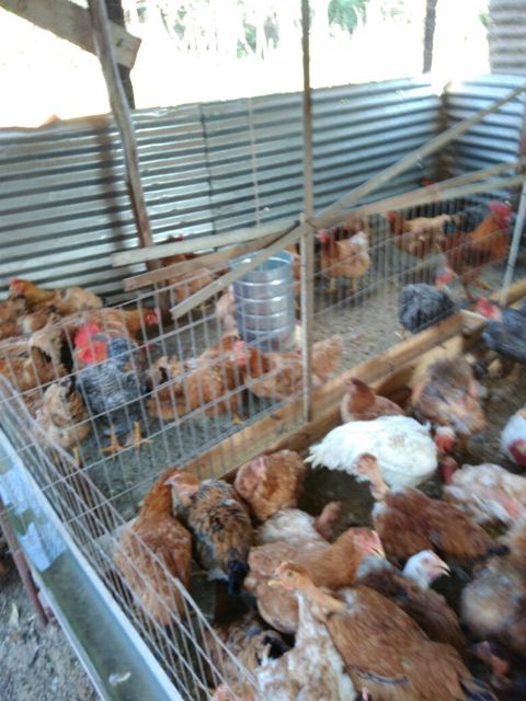 4f581ef7-2391-4c9a-ac1f-b9e12028de7d