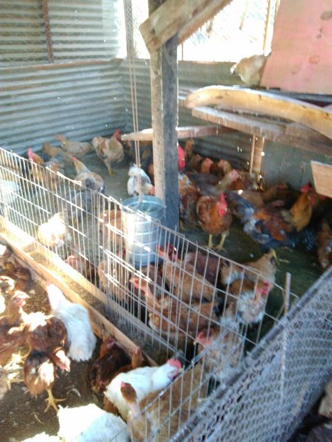 7fcf4b12-cb0f-4186-b17d-eef8561d0d24