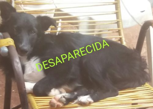 774b3f06-408b-4184-ba0e-b6ad7cda97bf