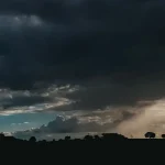 tse_19082009823
